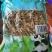 笋，江西工厂现货直发量大从优欢迎来电