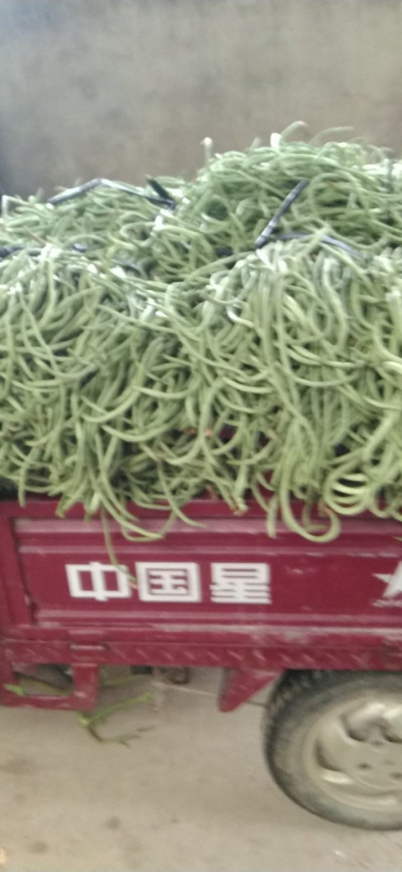 豆角