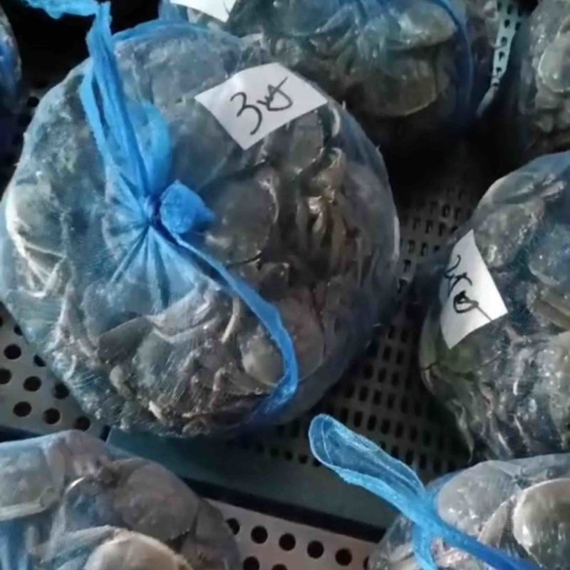 （大闸蟹）蟹农一手货源，品质保证，诚信经营，欢迎来电