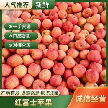 苹果山东红富士苹果颜色正口感好产地货源充足质量保证