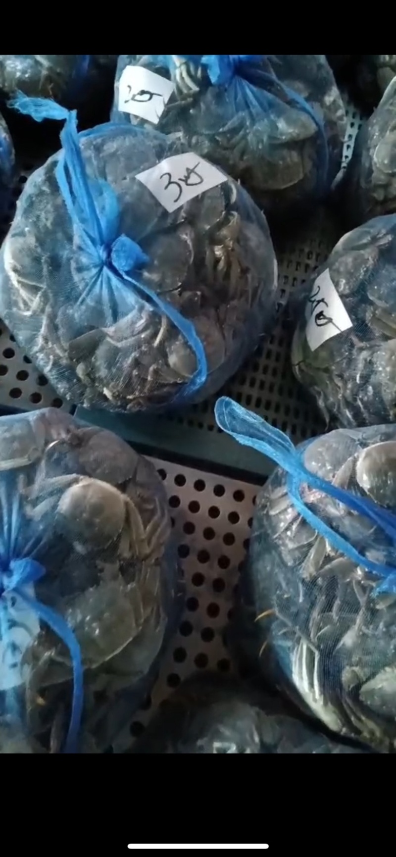 （大闸蟹）蟹农一手货源，品质保证，诚信经营，欢迎来电