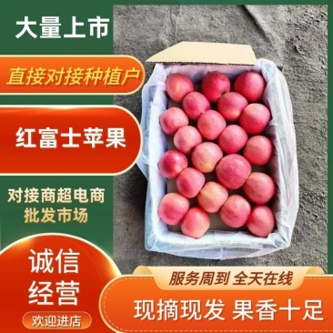 精品红富士苹果产地直发/对接超市批发市场/电商等