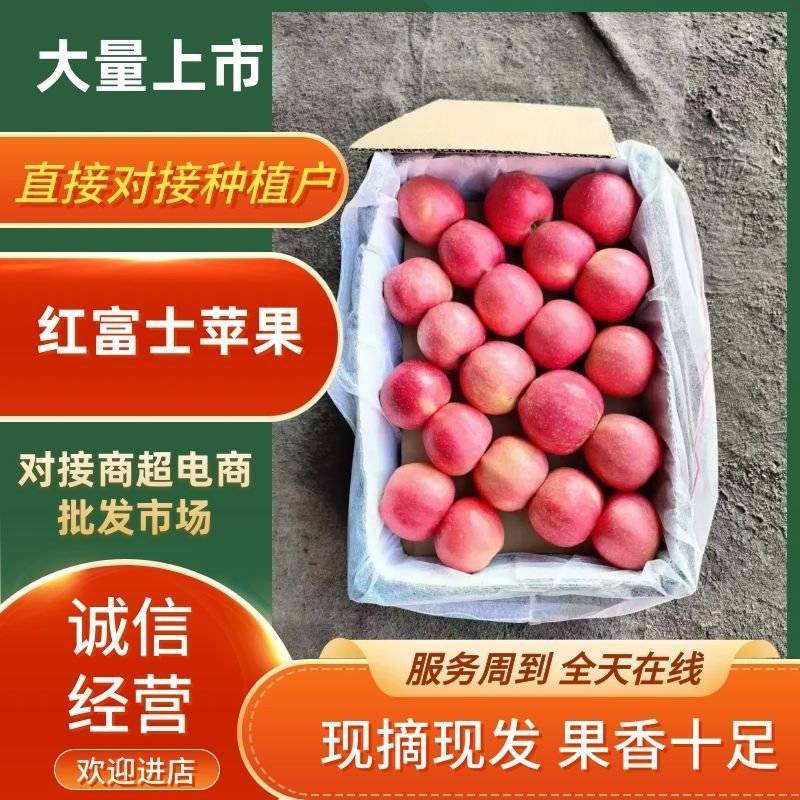精品红富士苹果产地直发/对接超市批发市场/电商等