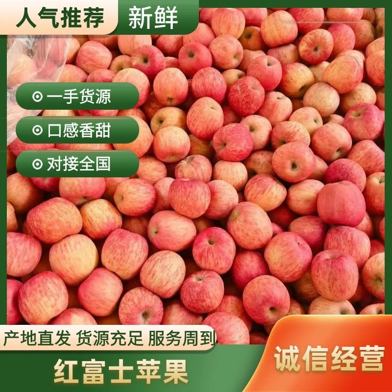 精品红富士苹果产地直发/对接超市批发市场/电商等