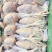 珍珠鸡肉养殖基地直供量大优惠对接全国欢迎客商进店咨询