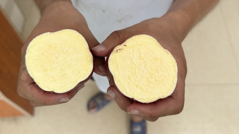 香芋过敏示意图