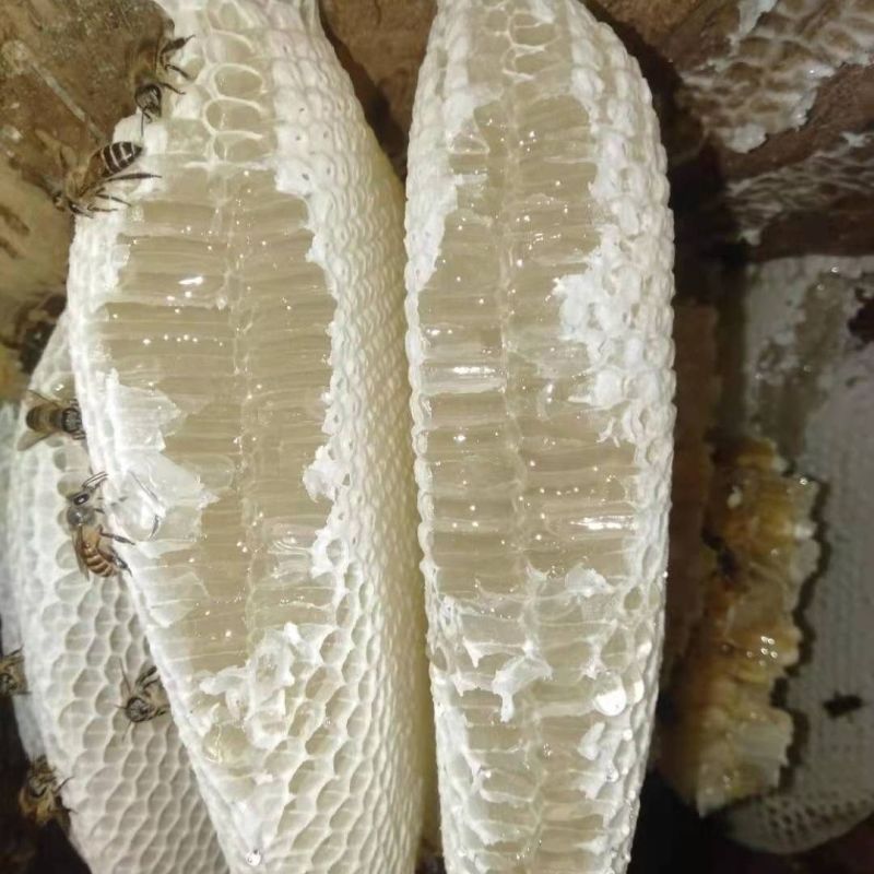 【优选】云南野生蜂蜜，深山天然蜂蜜，品质保证欢迎采购