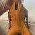 【卤味】卤鹅，全熟卤鹅正宗荣昌卤鹅厂家直销批发