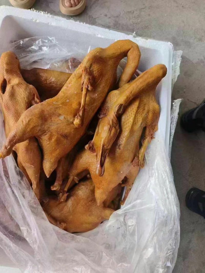 【卤味】卤鹅，全熟卤鹅正宗荣昌卤鹅厂家直销批发