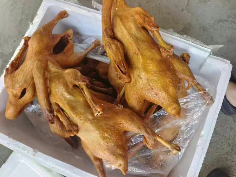 【卤味】卤鹅，全熟卤鹅正宗荣昌卤鹅厂家直销批发