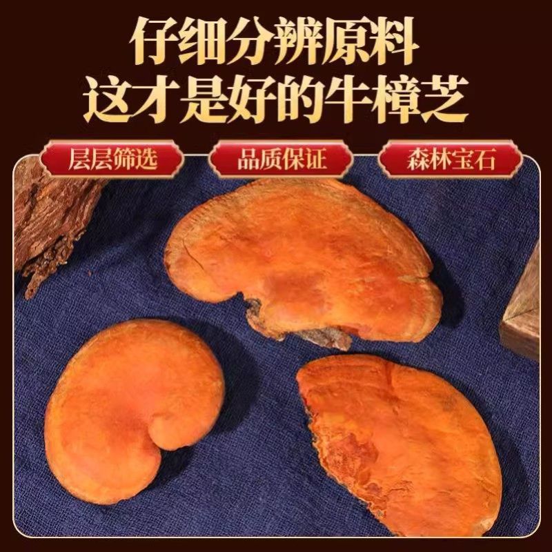优质干菌红栓菌深山食用菌，质量保证欢迎合作共赢