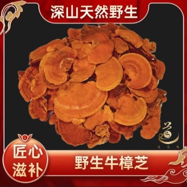 优质干菌红栓菌深山食用菌，质量保证欢迎合作共赢