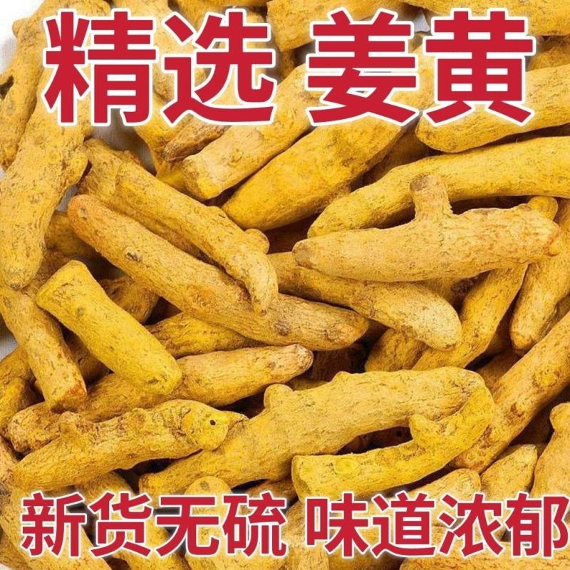 野生姜黄，质量保证欢迎采购，合作共赢