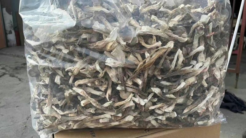 鹿茸菇，好质量纯干货鹿茸菇，没有碎渣，产地直销