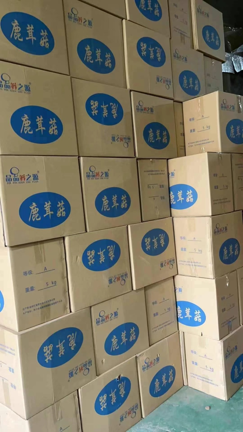 鹿茸菇，好质量纯干货鹿茸菇，没有碎渣，产地直销