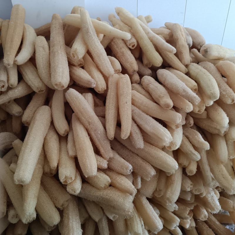 丝瓜络自产自销