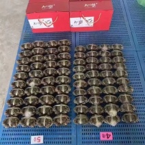 新疆帕米尔雪山蟹大闸蟹冷水蟹河蟹六月黄螃蟹苗