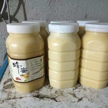 河北蜂蜜土蜂蜜自家养殖蜂蜜纯百花蜜假一赔三量大优惠