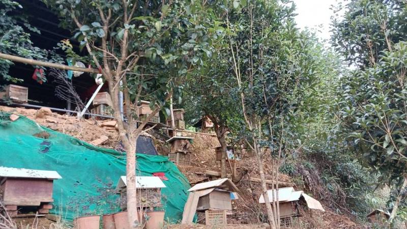 【福建福州永泰】采摘，健康养，新鲜直供