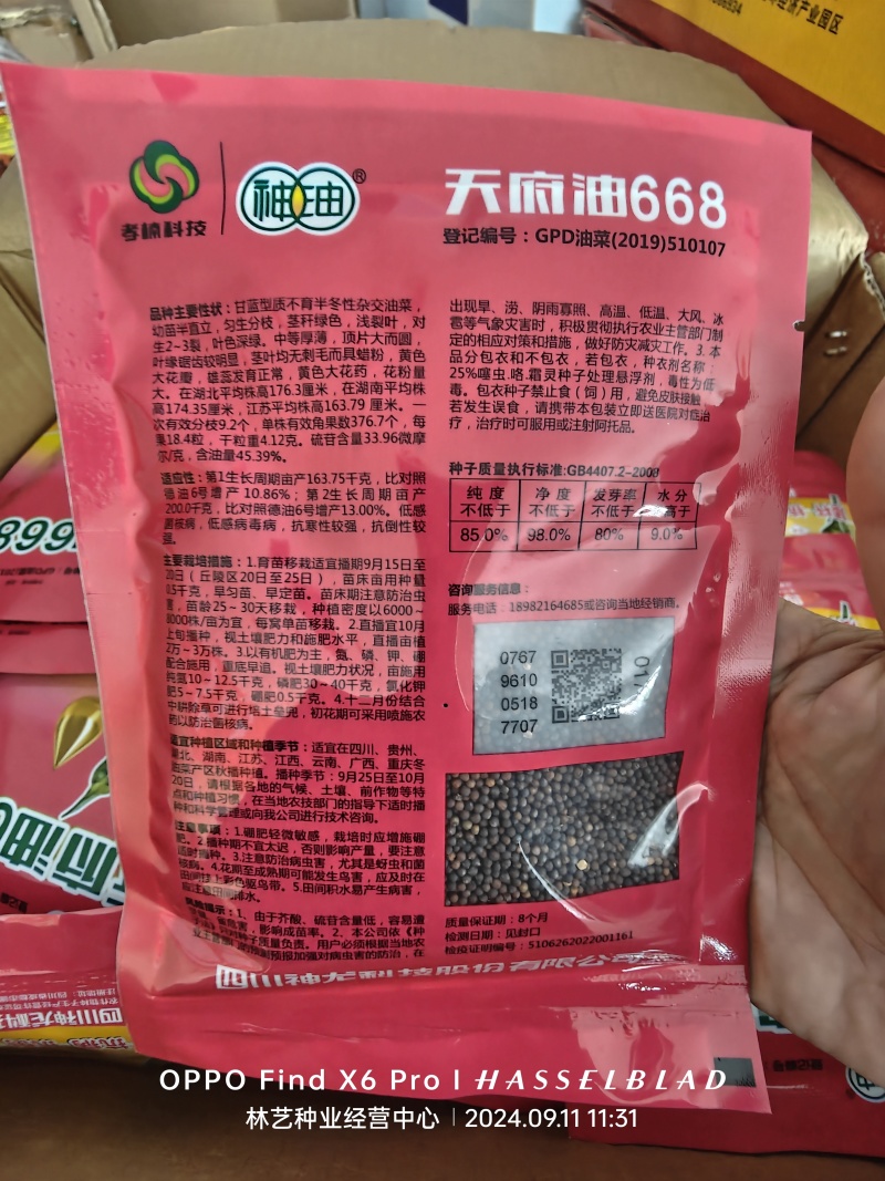 天府油668油菜种子矮杆抗病抗倒粒大油菜种籽正品原装