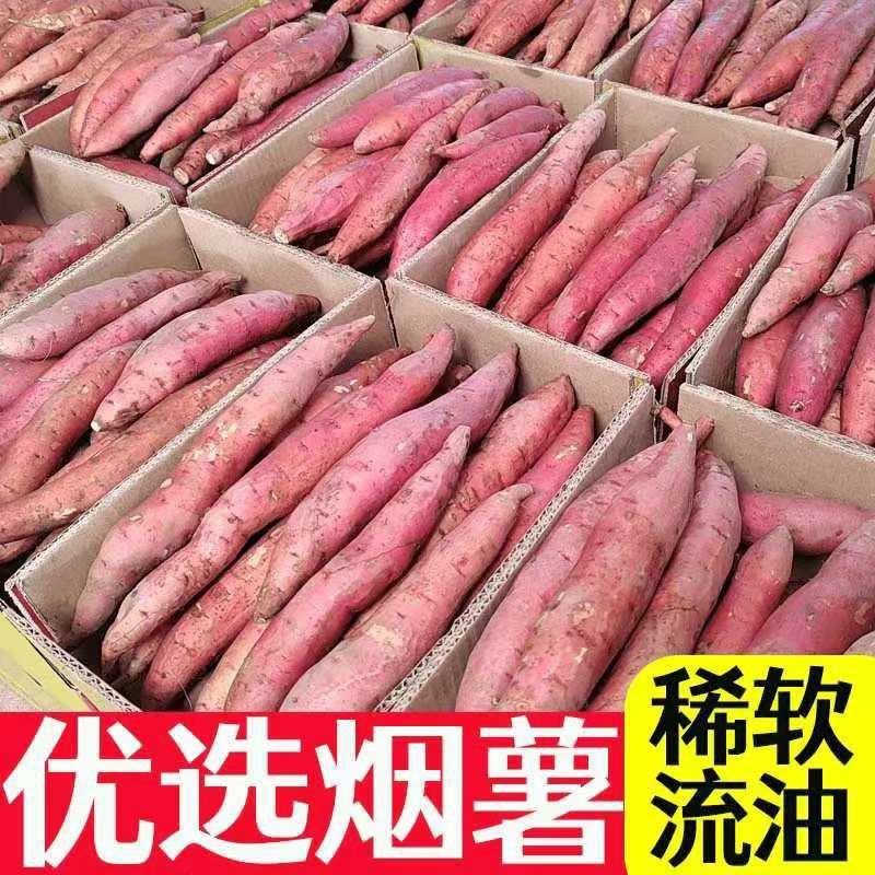 安徽沙地烟薯25红心糖心流油蜜薯烤地瓜专用欢迎联系