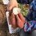安徽红皮白心商薯19冰糖白心板栗薯产地直发可视频看货