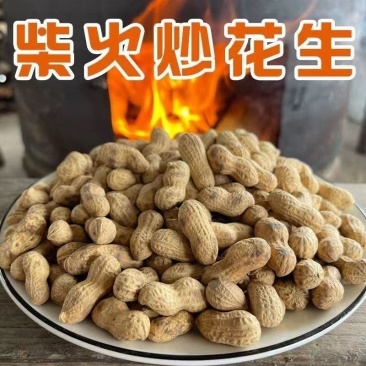 厂家原味批发零食新鲜带壳原味花生农家铁锅原味炒熟花生