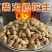 厂家原味批发零食新鲜带壳原味花生农家铁锅原味炒熟花生
