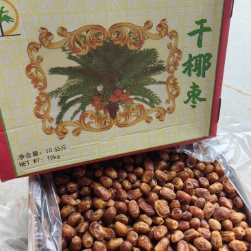 椰枣批发阿联酋黄椰枣干椰枣