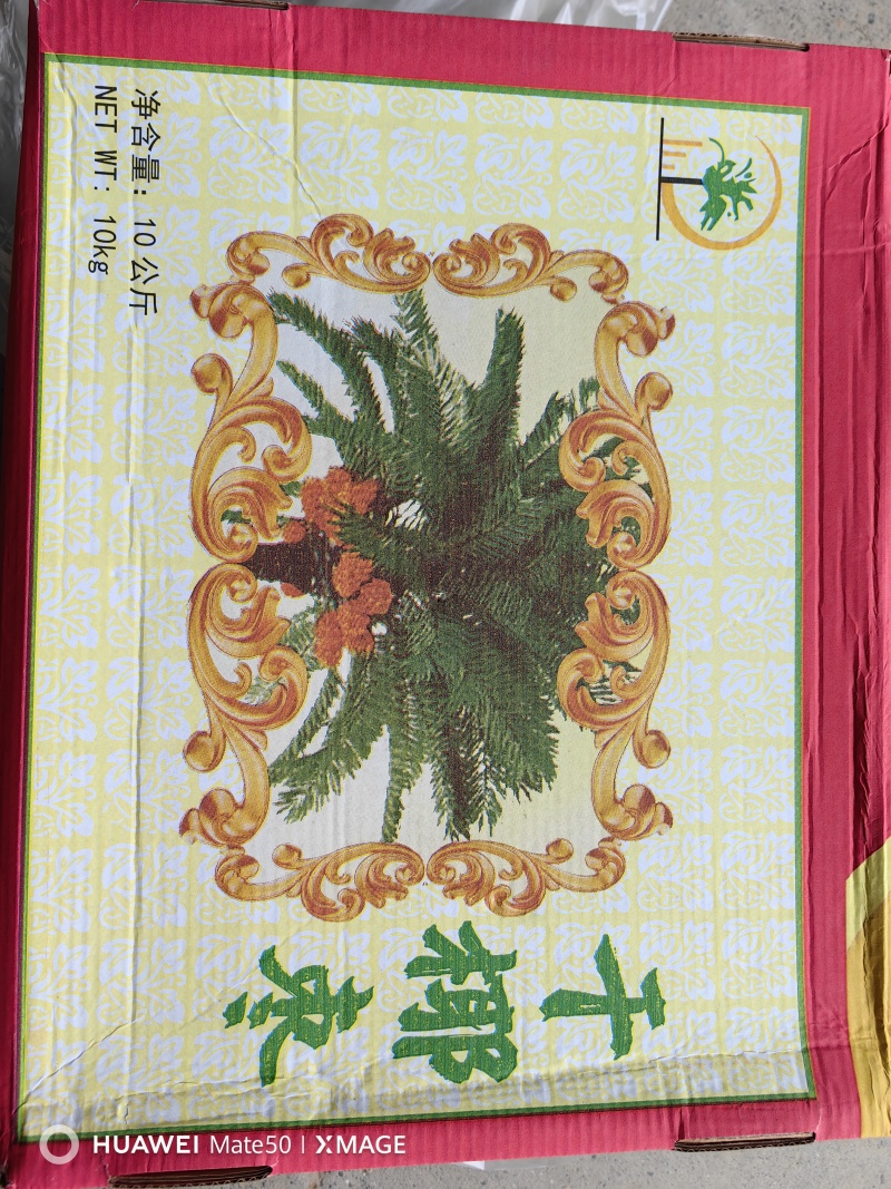 椰枣批发阿联酋黄椰枣干椰枣