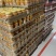 【精品黄贡椒】大小规格齐全工厂直销价格**优势
