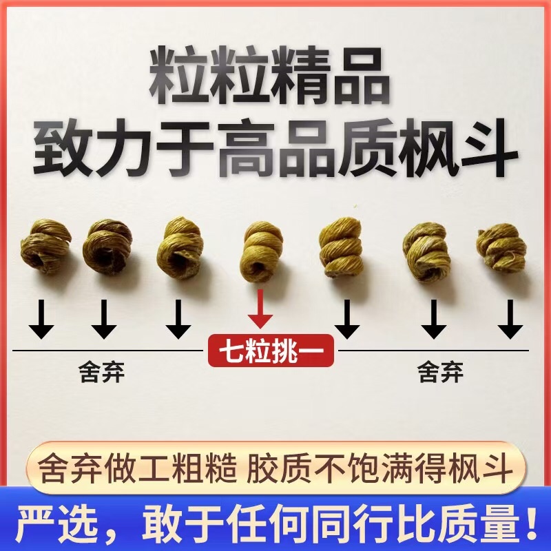 石斛枫斗高品质保质保量大量出货欢迎采购
