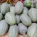 晓蜜25