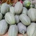 晓蜜25