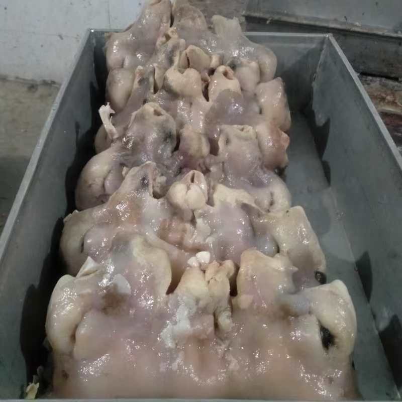 乳牛头肉，去骨熟牛头肉，纯手工去毛。