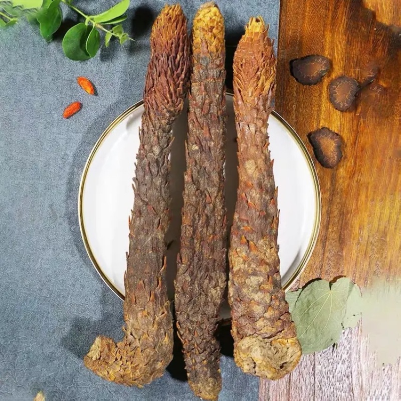 肉苁蓉阿拉善肉苁蓉品质保证各种规格量大从优