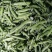 【推荐】云南长寿仁豌豆一手货源供应市场商超电商量大价优