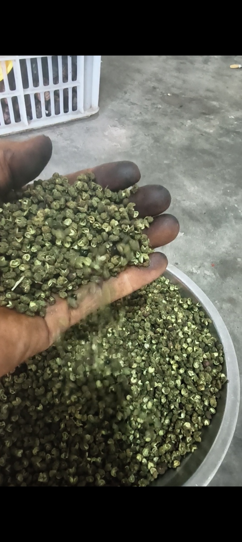 昭通永善青花椒