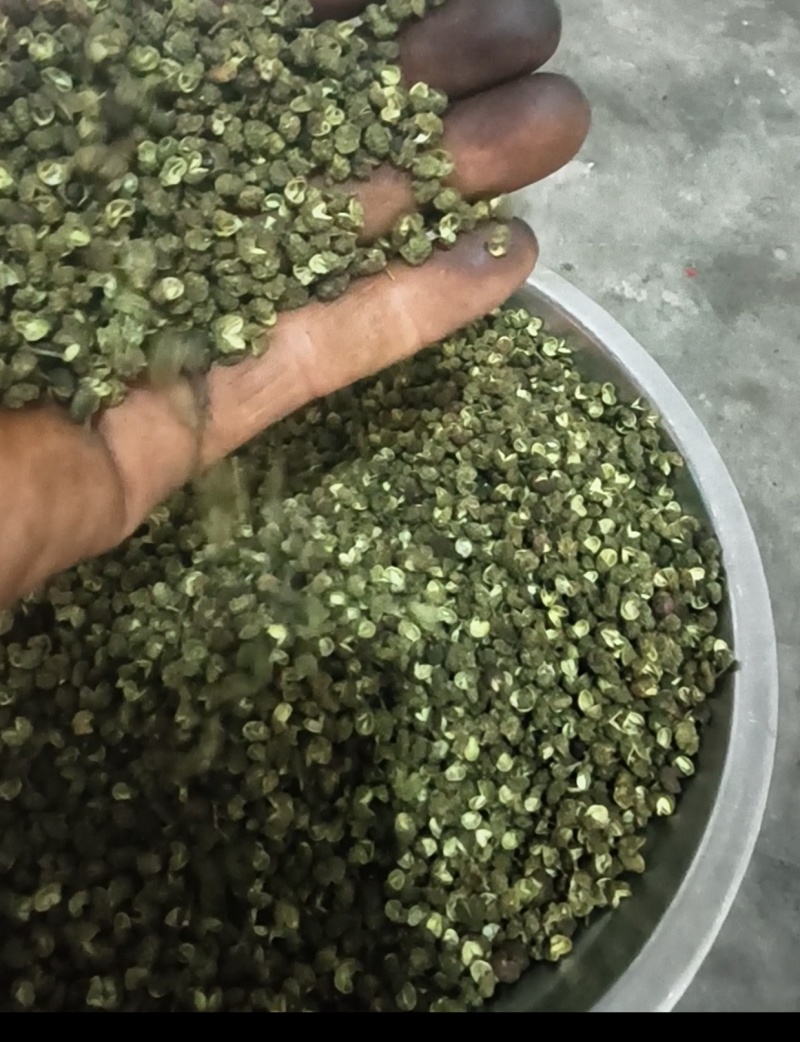 昭通永善青花椒