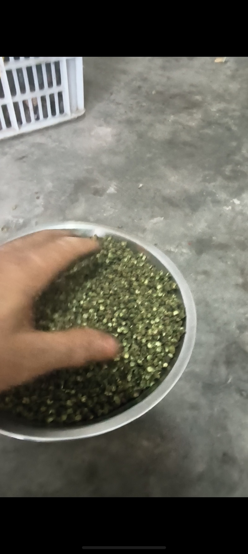 昭通永善青花椒