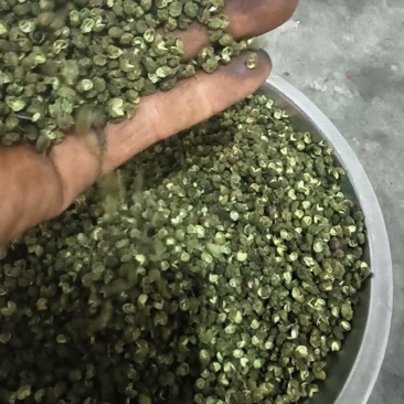 昭通永善青花椒