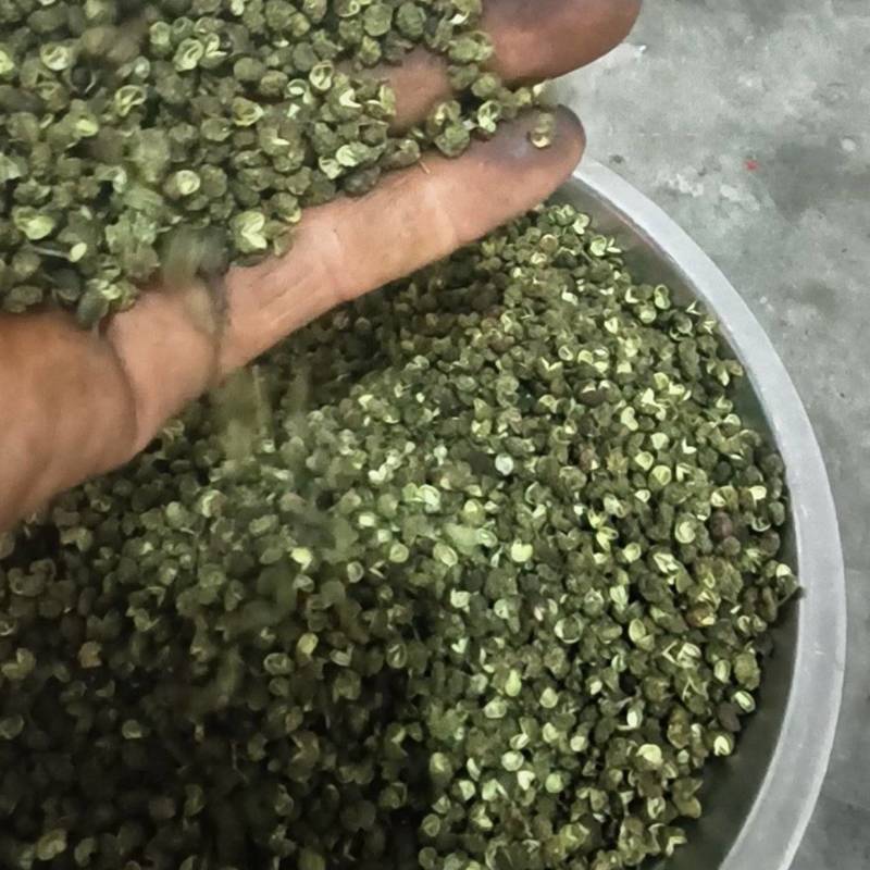 昭通永善青花椒