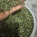 云南昭通永善青花椒