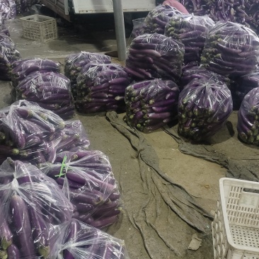 逛街产地广西，大量供货中，带发全国发，全国各地可提供各