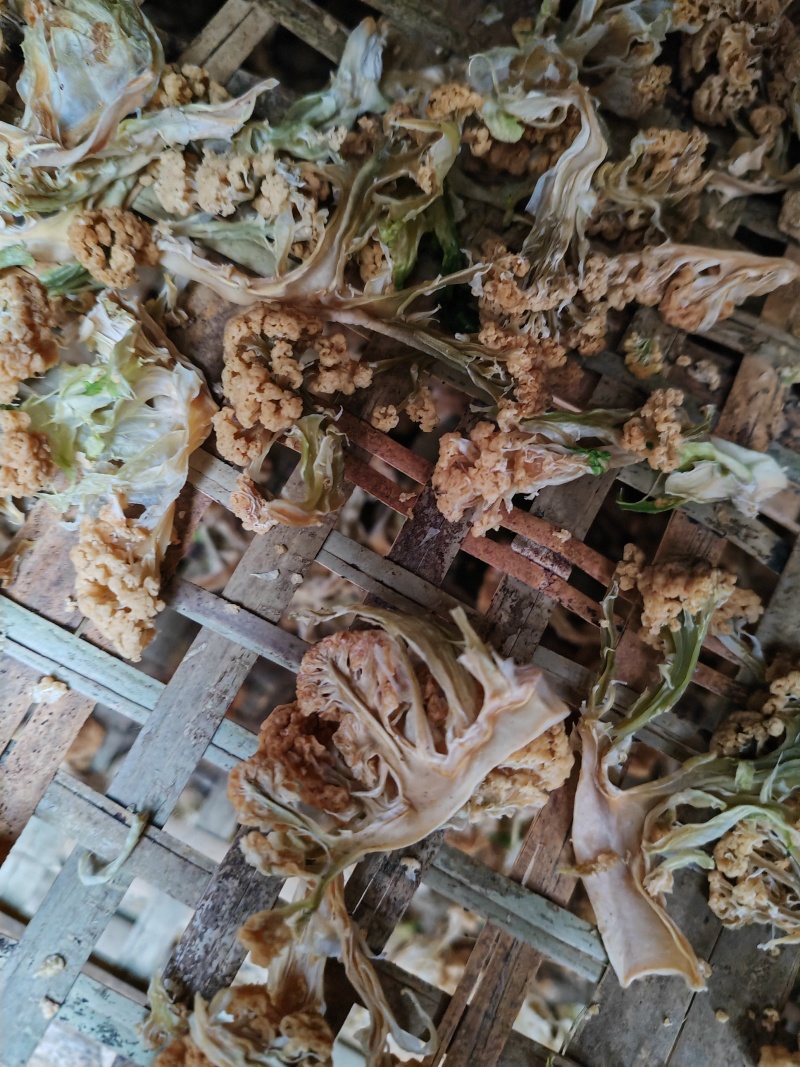 干花菜，有脱水烘干花菜，朵型饱满，黄亮剔透