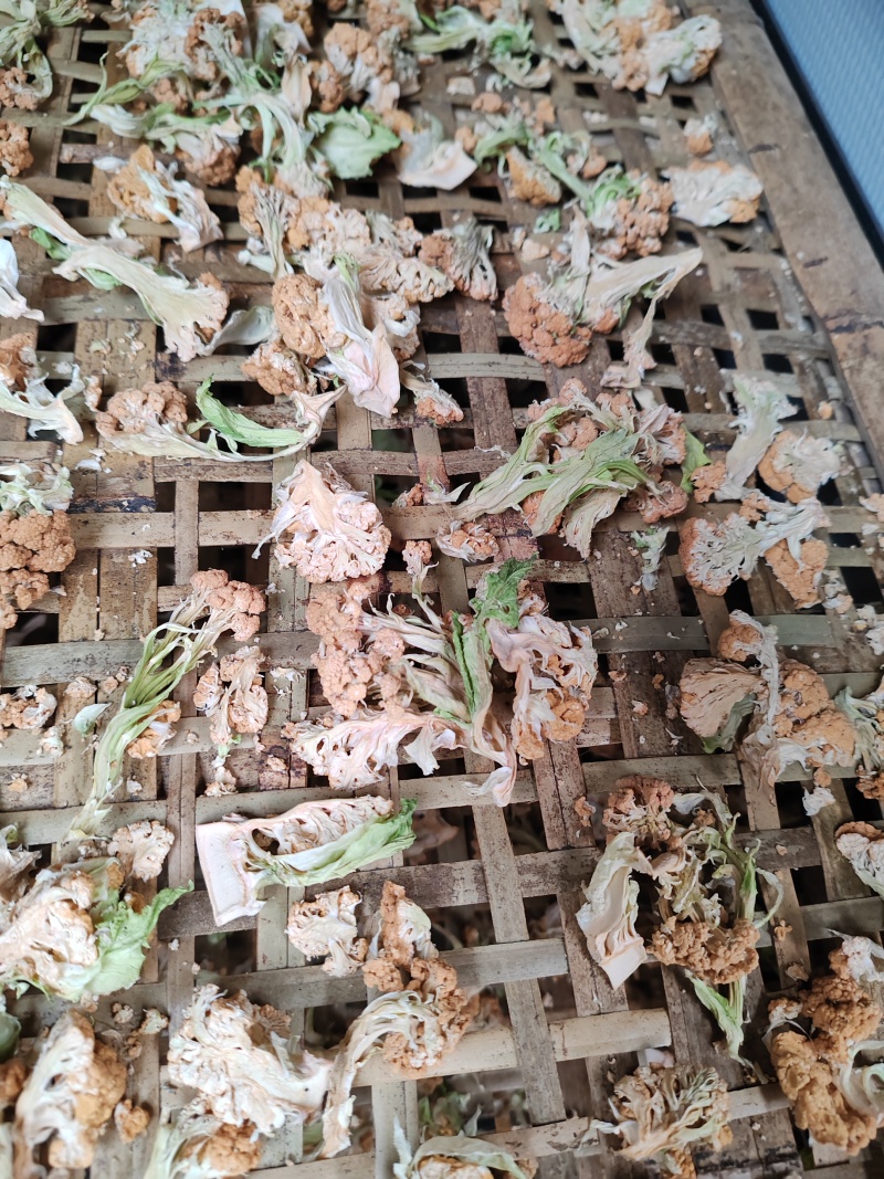 干花菜，有脱水烘干花菜，朵型饱满，黄亮剔透
