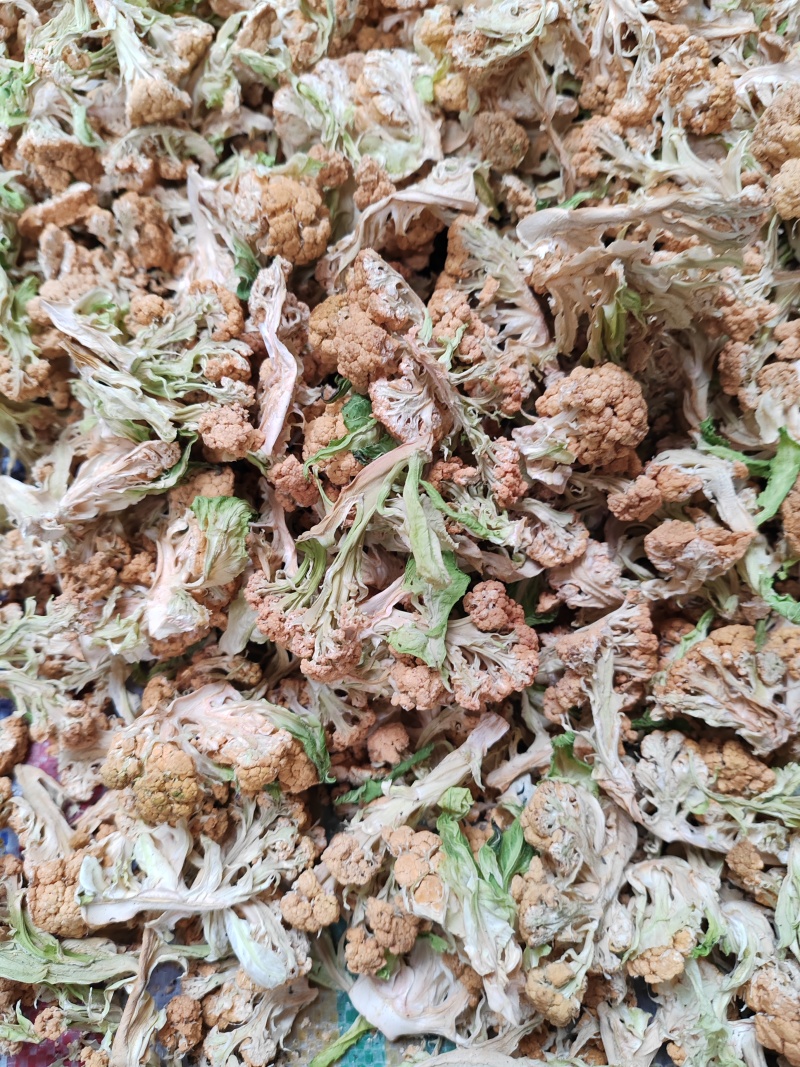 干花菜，有脱水烘干花菜，朵型饱满，黄亮剔透