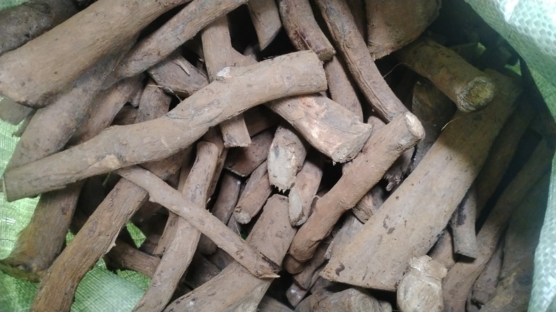山苍子根