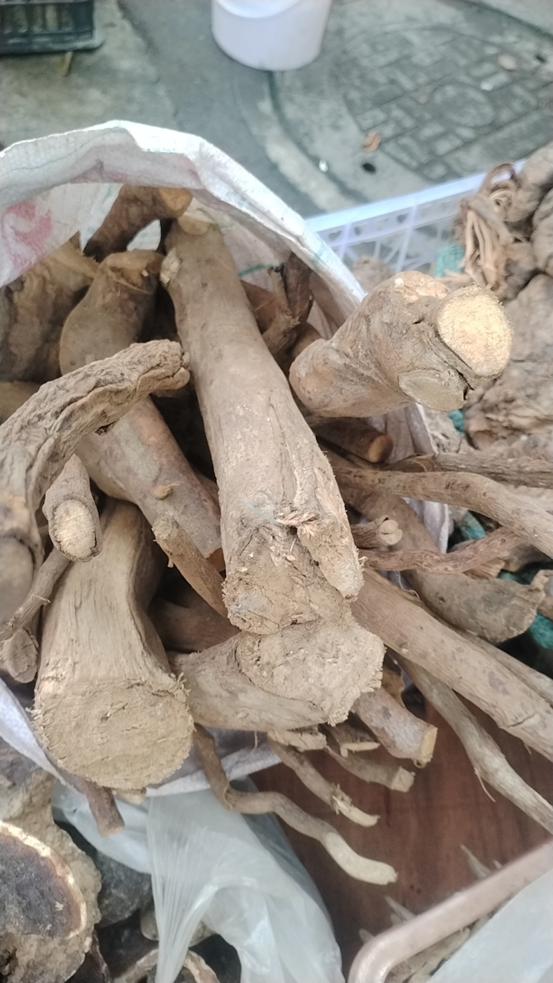 山苍子根