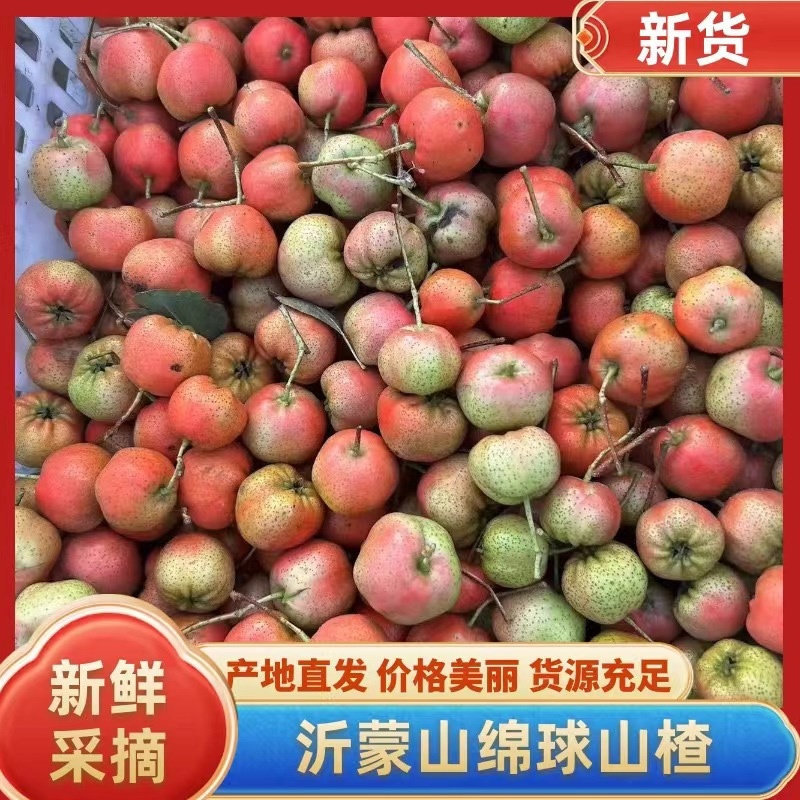 绵球山楂货源充足糖葫芦手选果量大从优有需要的老板欢迎联